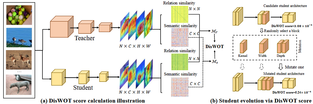 DisWOT: Student Architecture Search for Distillation WithOut Training